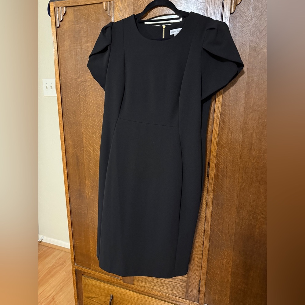 Calvin Klein Black Dress, 16